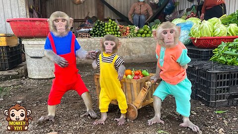 A happy week of YiYi and YinYin with baby monkey Yumy