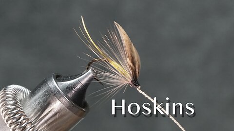 Hoskins: a trout fly in Favorite Flies and Their Histories (1892) by Mary Orvis Marbury