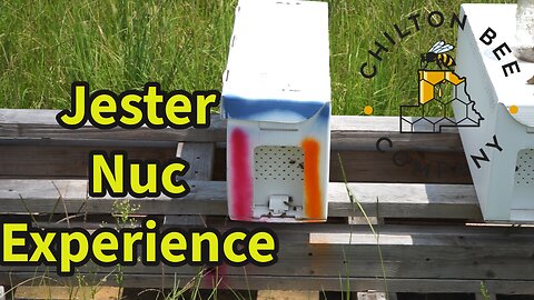 Jester Nuc Experience