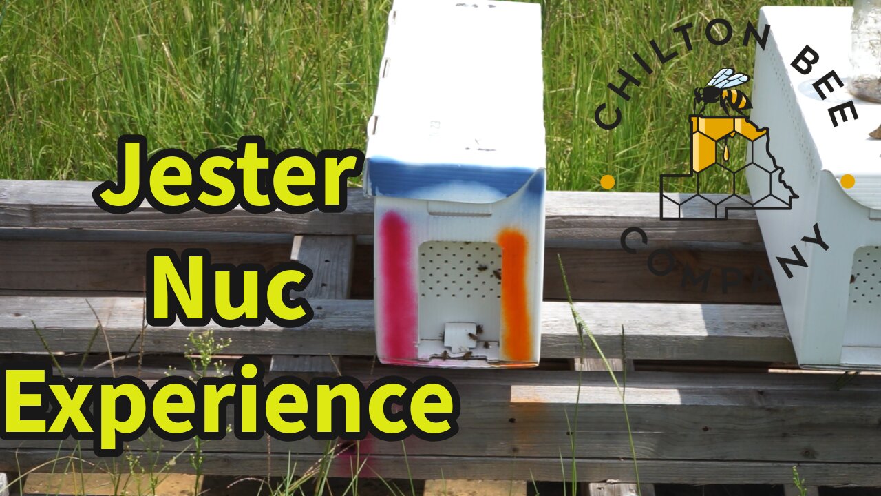 Jester Nuc Experience
