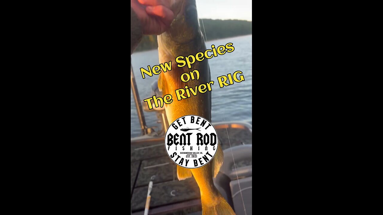The River RIG catches EVERYTHING!