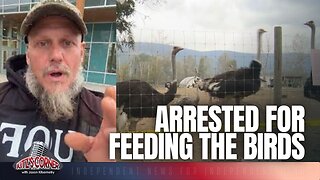 Two Arrests at Universal Ostrich Farm — Feeding the Birds or Breaking the Law?