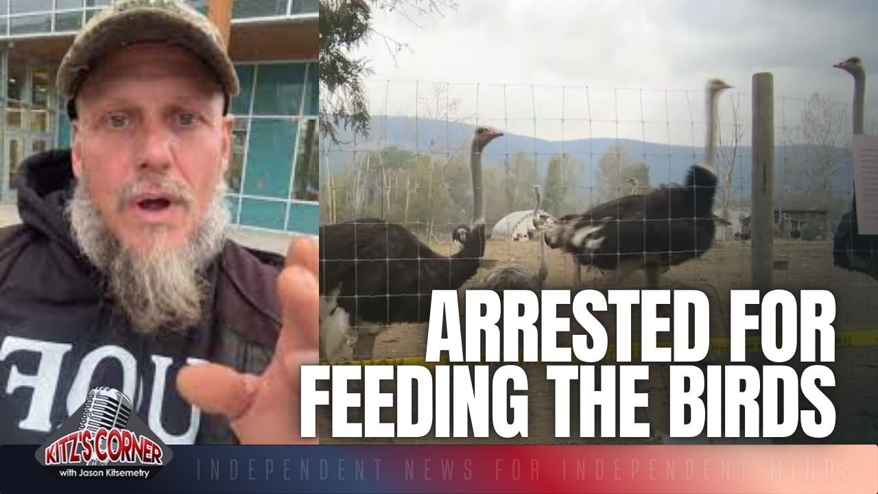 Two Arrests at Universal Ostrich Farm — Feeding the Birds or Breaking the Law?