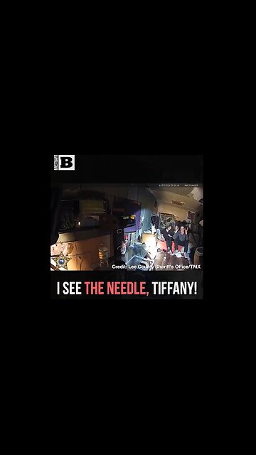 The Needle's RIGHT THERE, Tiffany! Lee County, Florida Sheriff Stumbles Upon Drug Deal ~ Breitbart 1/8/26