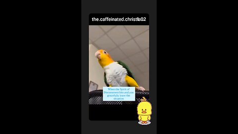 What to do and when.