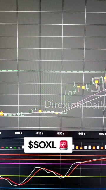 $SOXL🚨
