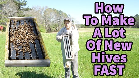 How To Make A lot Of New Hives FAST!!!