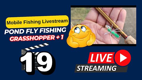 More Foam Grasshopper Plus 1 Fly Fishing #Mobile #Fishing #Livestream