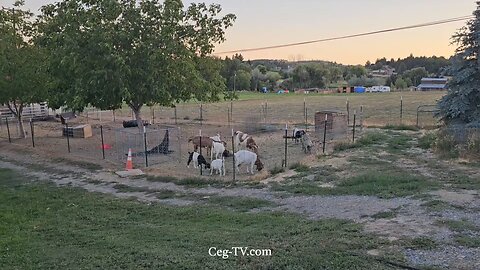 Graham Family Farm NW: 8:00 PM August 12 2025