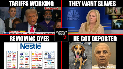 Trump's Tariffs Working | Do Dems Want Slaves? | Nestle Removing Dyes | Illegal Kicks CBP Beagle