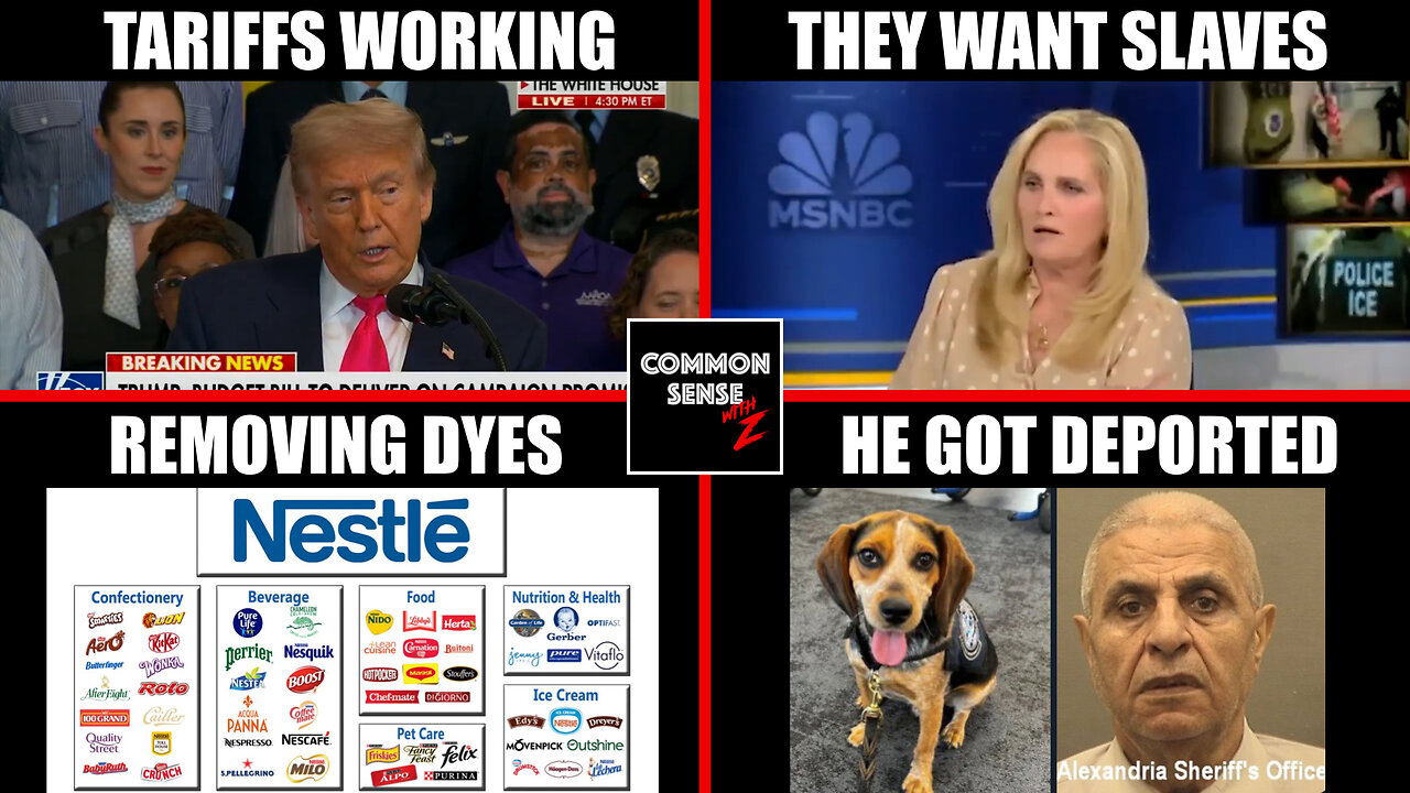 Trump's Tariffs Working | Do Dems Want Slaves? | Nestle Removing Dyes | Illegal Kicks CBP Beagle