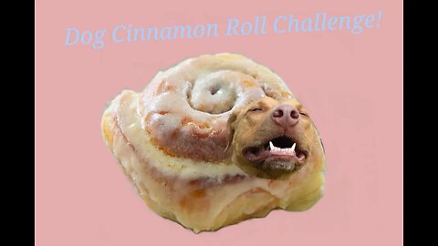 My Dog Turns Into A Cinnamon Roll