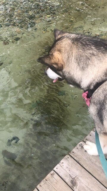 Monday July 7, This year will be set apart as holy.