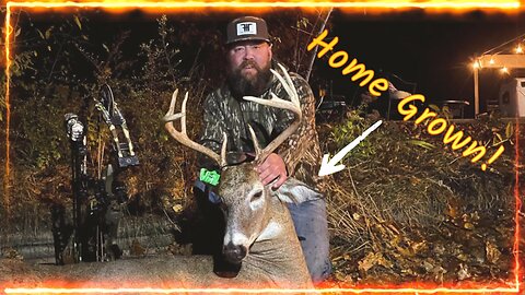 Coyotes almost got my Michigan 10 point! #deerhunting #bowhunting #hunting