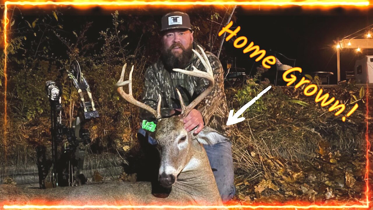 Coyotes almost got my Michigan 10 point! #deerhunting #bowhunting #hunting