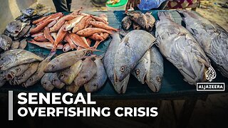 Europe’s seafood demand drains Senegal’s fish stocks, leaving coastal communities hungry