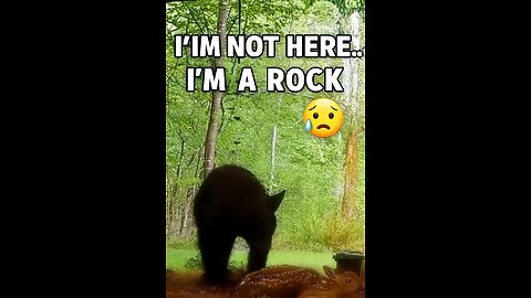 "I’ll Pretend to Be Dead So the Bear Won’t Eat Me 😵🐻"