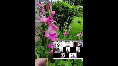 Oltea Hozan- NU PRIVI CU UȘURINȚĂ- #CaleaCătreRai #poezie #editor Valentin Trif #poem #christianity