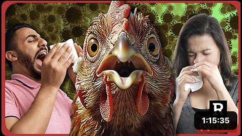 "Next Pandemic Plans Revealed Pre-Election: Fast-Tracking Bird Flu Vaccine - Redacted"