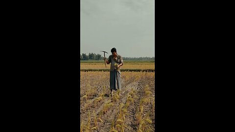 আমি একজন কৃষক আমার ফসল ভালো হয়নি ।। #viral