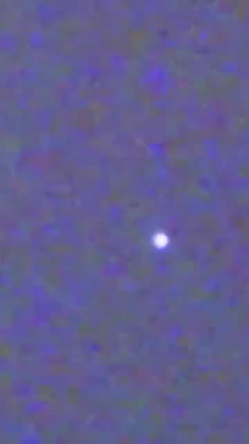 Happenings of Recent Sightings at Jaya