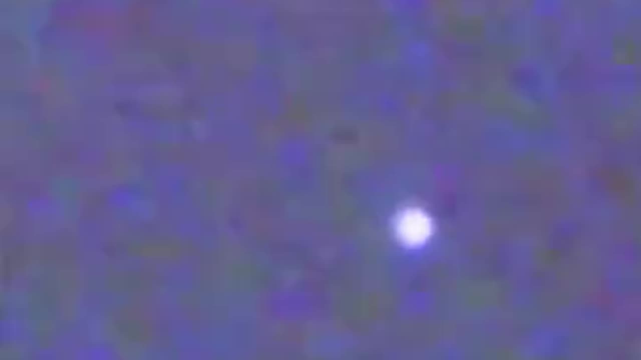 Happenings of Recent Sightings at Jaya