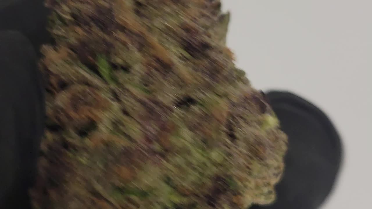 SUPER BOOF THCA Flower