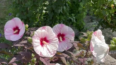 God ascension with physical bodies into multidimensional reality vibrations suit body like floating