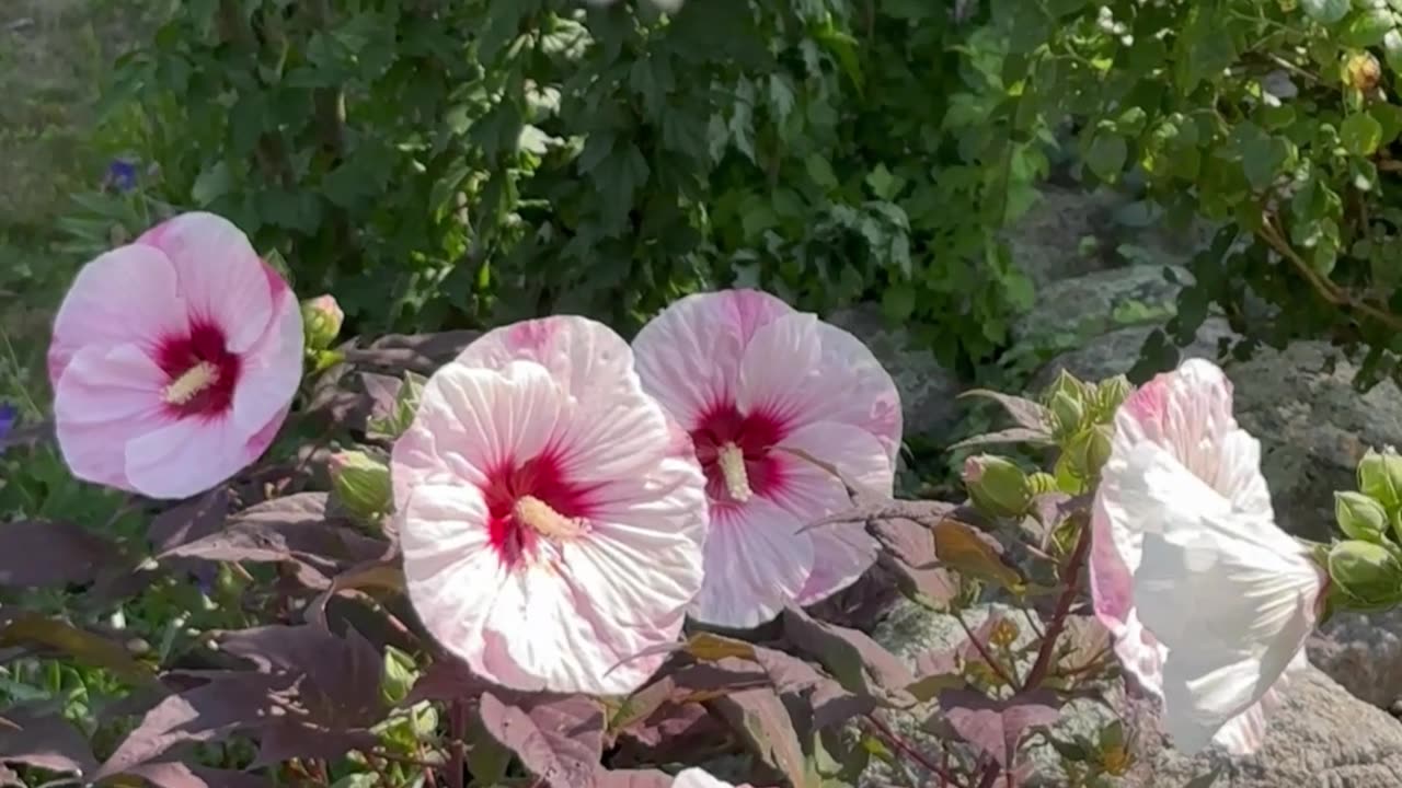 God ascension with physical bodies into multidimensional reality vibrations suit body like floating