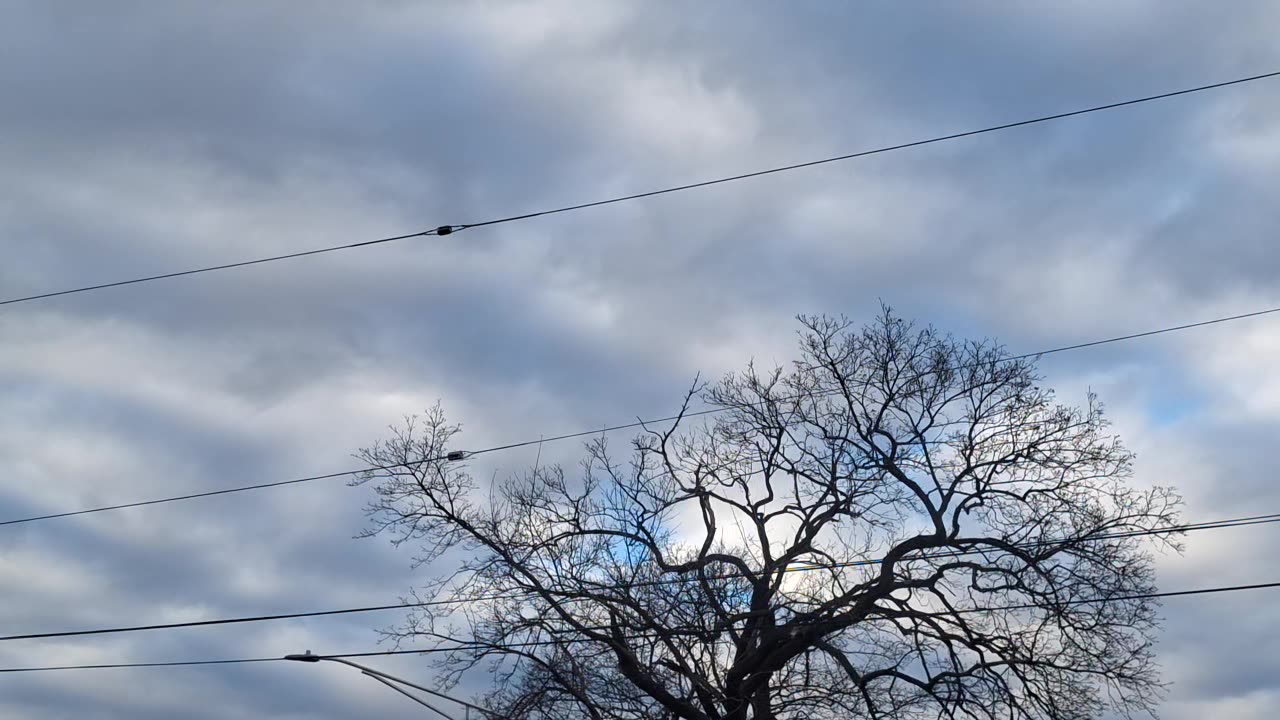 A "layer of clouds"