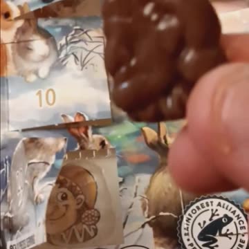 Kickoff to the 2023 Advent Calendar: Day 20 Revealed!