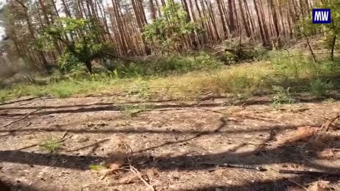 Precision Strike by Special Forces in Kharkov Region