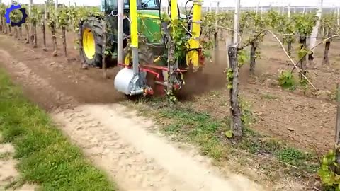 How US Farmers Harvest 6.8M Tons of Cherry & Other Crops #8 | Most Satisfying Agriculture Technology