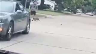 😳💥 Instant Regret Caught on Camera! | FunFM