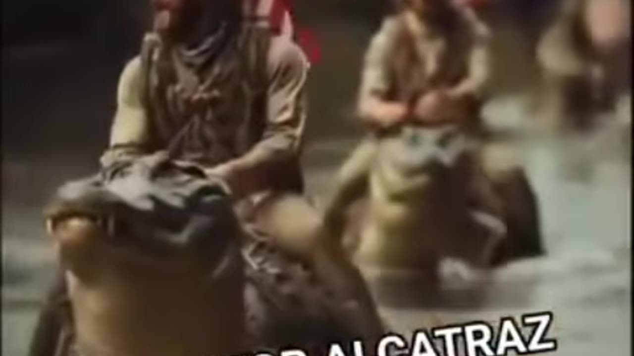 Alligator arrive et près à commencer le travail