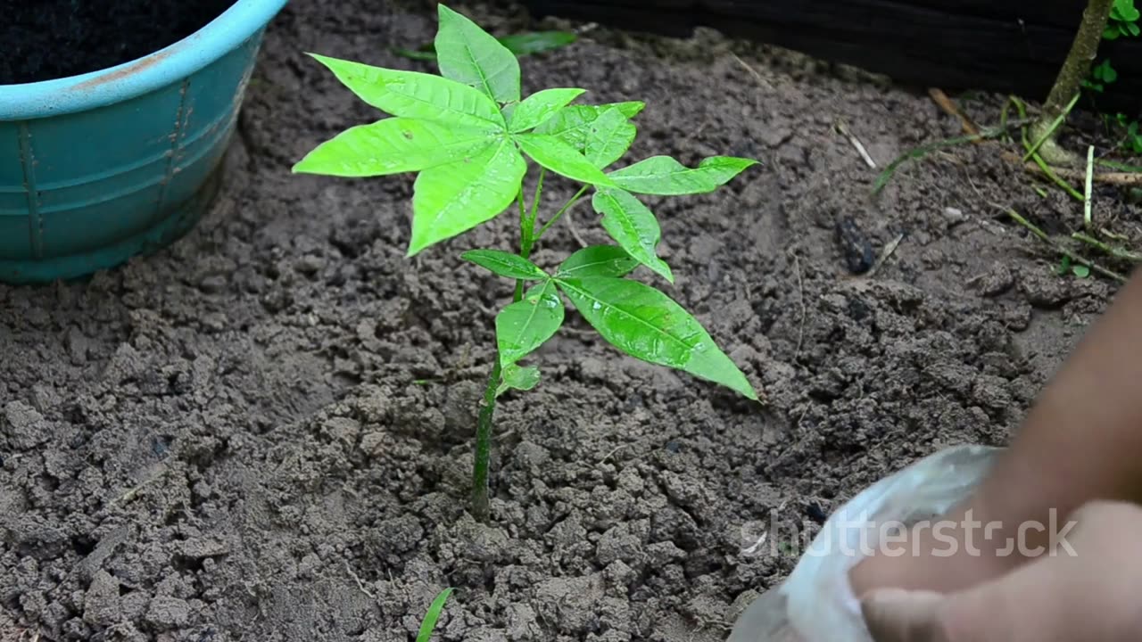 go green eco-friendly