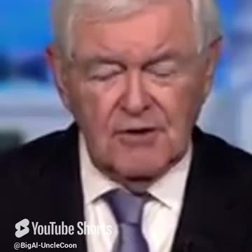 NEWT GINGRICH SAYS THE WHOLE COUNTRY KNOWS THE DEMOCRATS ARE LYING