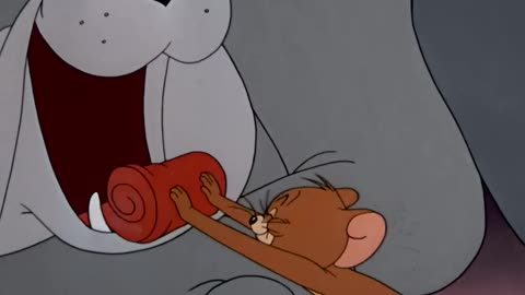 pov_it_s_family_movie_night___Tom___Jerry___‪