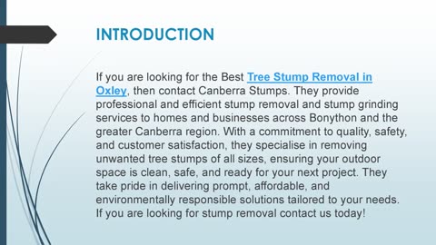 Best Tree Stump Removal in Oxley