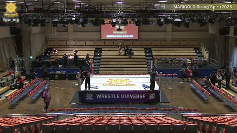 MARIGOLD Rising Spirit 2025 4-25-25