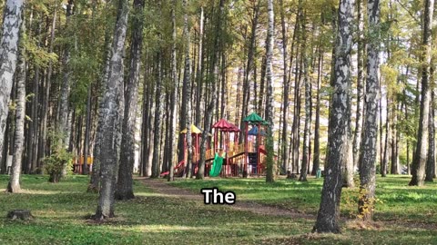 Tiny Town inside the Magic Forest.