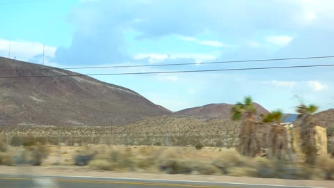 YAY! MORE PALM TREES!!!