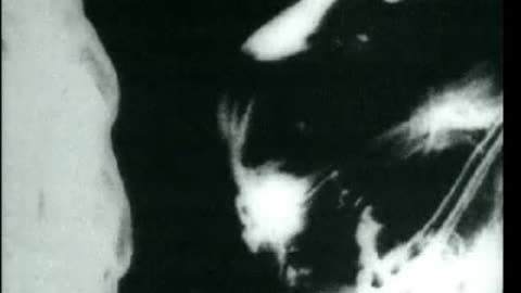 Pretty Things - On Film = 1966