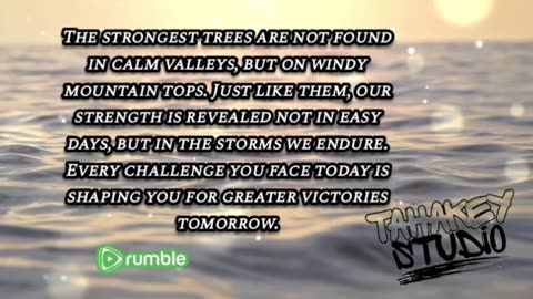Stand Strong In The Storm