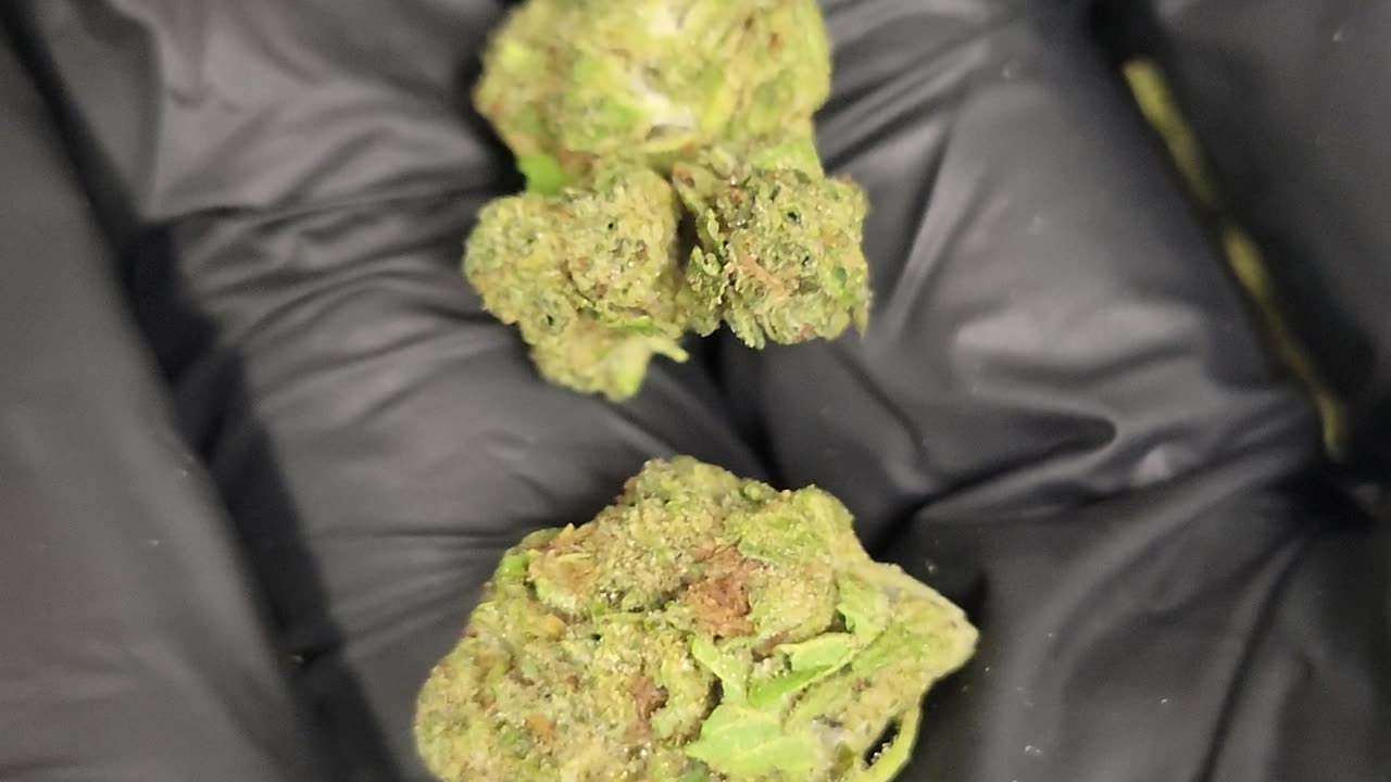 Gorilla Glue THC Flower Ounces
