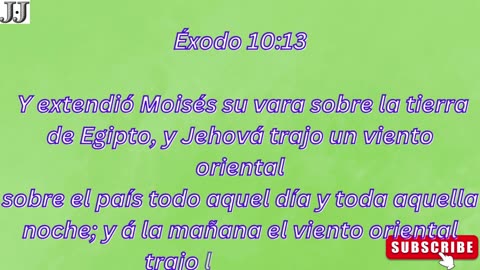 “La plaga de langostas y la oscuridad: advertencias finales al faraón” exodo 10:1-29 #shorts #yt