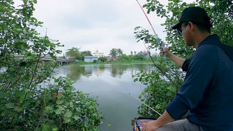 Dace Discovery A Streams Grace