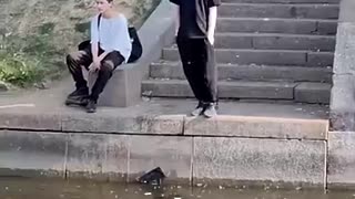Must Watch: A Professional Faller