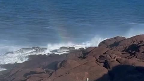Woman Almost Swept Out to Sea Today at Cape Spear