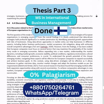 Student Work (Thesis ) | Part 3 JAMK MS International Business | Risk Factors & Data Insights
